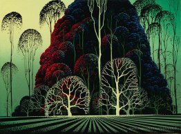 Forêt d'eucalyptus