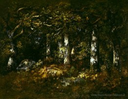 Forêt de Fontainebleau