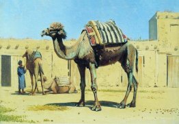 Camel dans la cour de Caravanserai