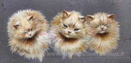 TROIS CHATS