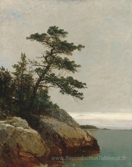 Le vieux pin, Darien, Connecticut