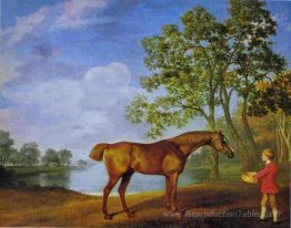 Citrouille avec un garçon stable
