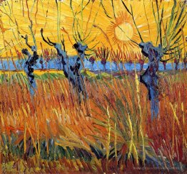 Pollard Willows et coucher du soleil