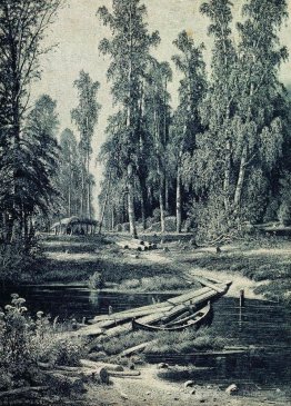 Rivière forestière