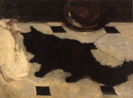Chat de vert