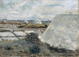 Étang d'évaporation du sel