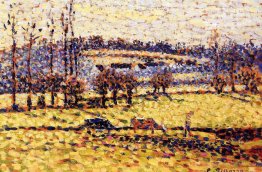 Prairie à Bazincourt
