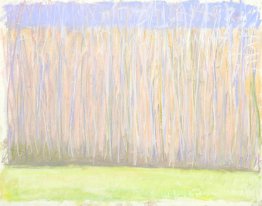 Rangée de l'arbre pâle
