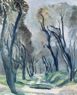Avenue des oliviers
