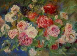 Des roses