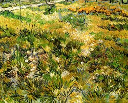 Prairie dans le jardin de l'hôpital Saint-Paul