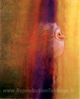 Oiseau qui éprouve de la lumière