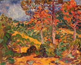 Soleil à travers les arbres