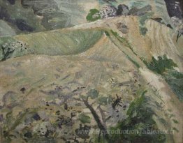 Collines à Poiana Mărului