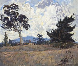 Pastoral Woodside