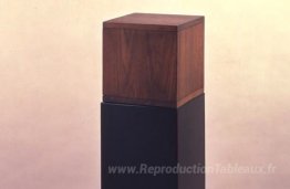 Boîte avec le son de sa propre fabrication