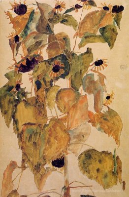Tournesols