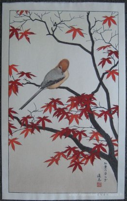 Oiseaux des saisons - automne
