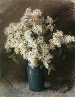 Lilas blanc