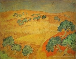 Paysage d'été