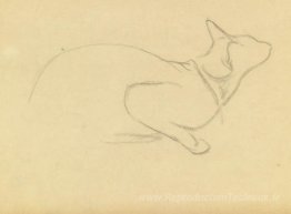 Étude d'un chat