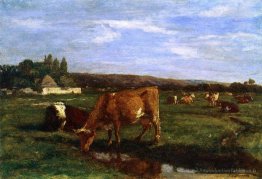 La vallée des touques