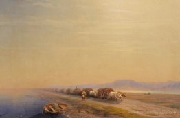 Train de bœuf sur la rive de la mer