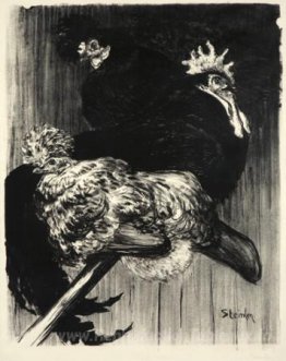 Coq et pooules