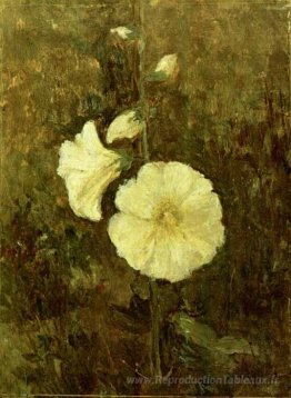 Mallore rose