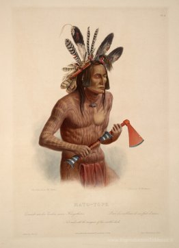 Mato-Tope, orné de l'insigne de ses actes guerriers, planche 14