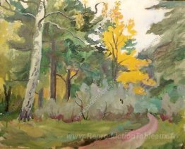 Un chemin. En automne.