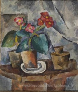 Nature morte. Fleurs dans les rives. Begonias.