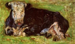 Vache couchée