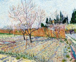 Verger avec des pêches en fleur