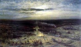 Nuit au clair de lune. le marais