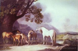 Juments et poulains dans un paysage montagneux