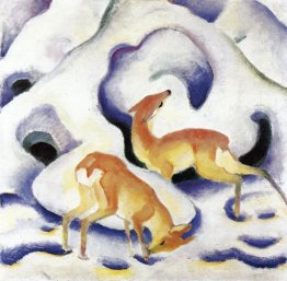 Cerf dans la neige