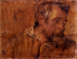 Étude de profil d'un vieil homme barbu