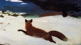 Chasse au renard