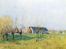 Ferme à Höllenkaff