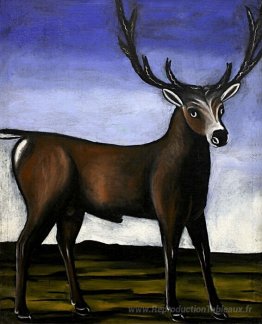 Cerf