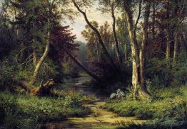 Paysage forestier avec hérons