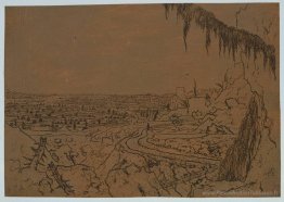 Paysage avec sapin surplombant