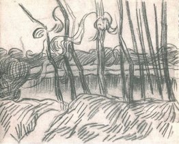 Une rangée d'arbres nus