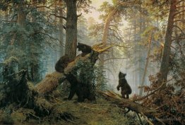 Matin dans une forêt de pin
