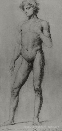 Mâle nude