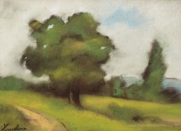 Path de campagne (Brebu)