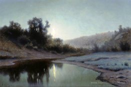 Nuit éclairé au lune dans le bois