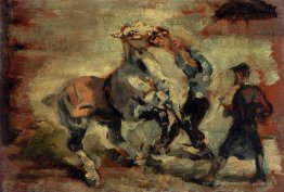 Cheval combattant son marié