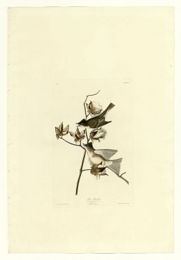 Plaque 120 voleur de feuilles